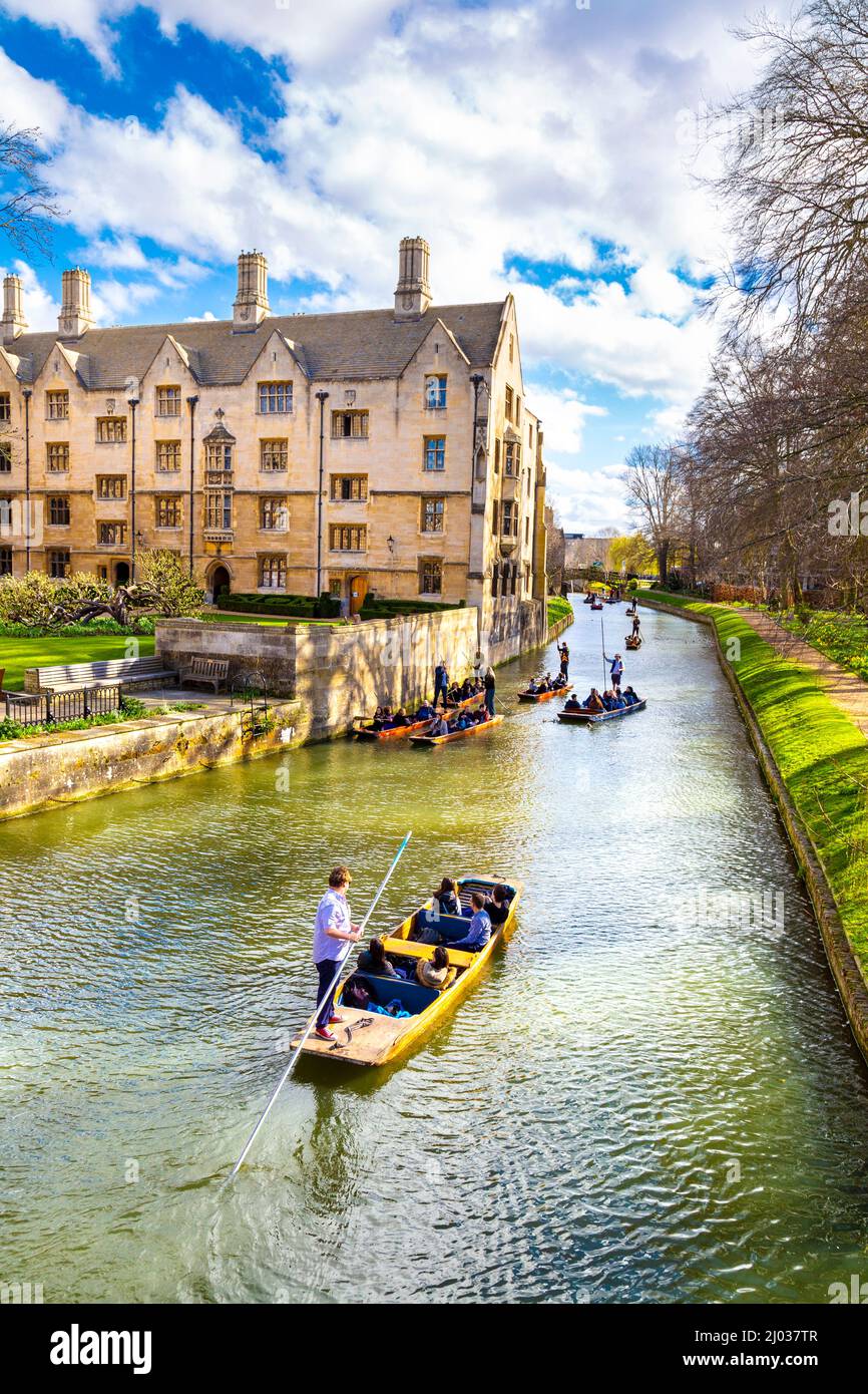 Punting sul fiume Cam fuori del King's College, Università di Cambridge, Regno Unito Foto Stock