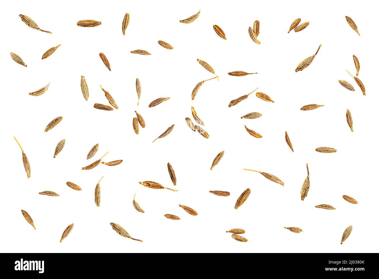 Semi di cumino secchi da basilico albero aroma indiano cibo isolato su sfondo bianco Foto Stock