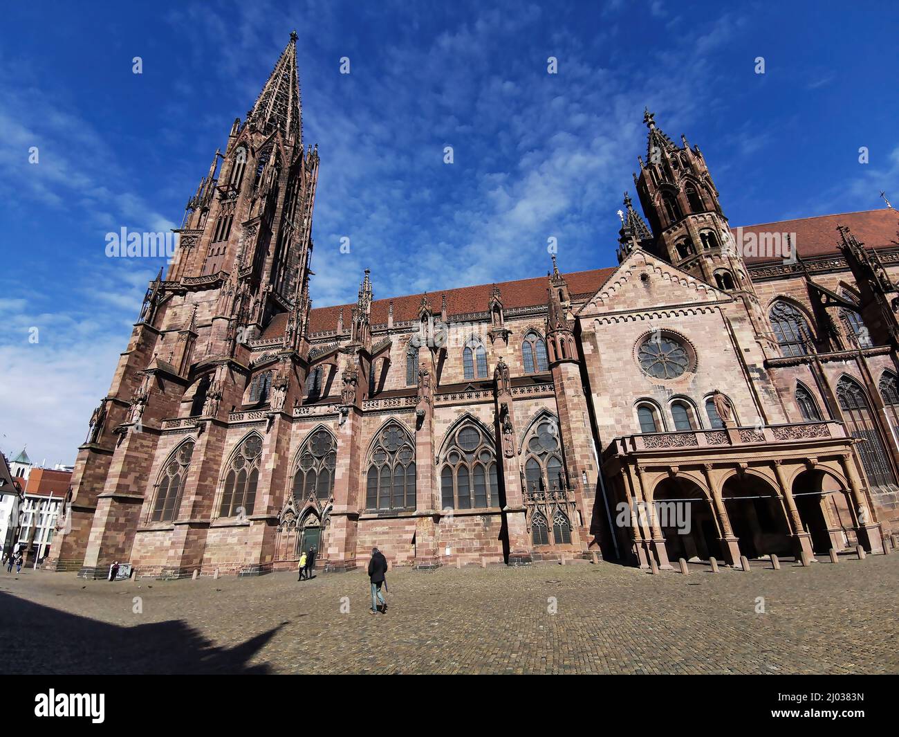 Freiburger Münster, Münster Unserer Lieben Frau, Römisch-katholische Stadtpfarrkirche von Freiburg im Breisgau, Baden-Württemberg, Deutschland / Fre Foto Stock