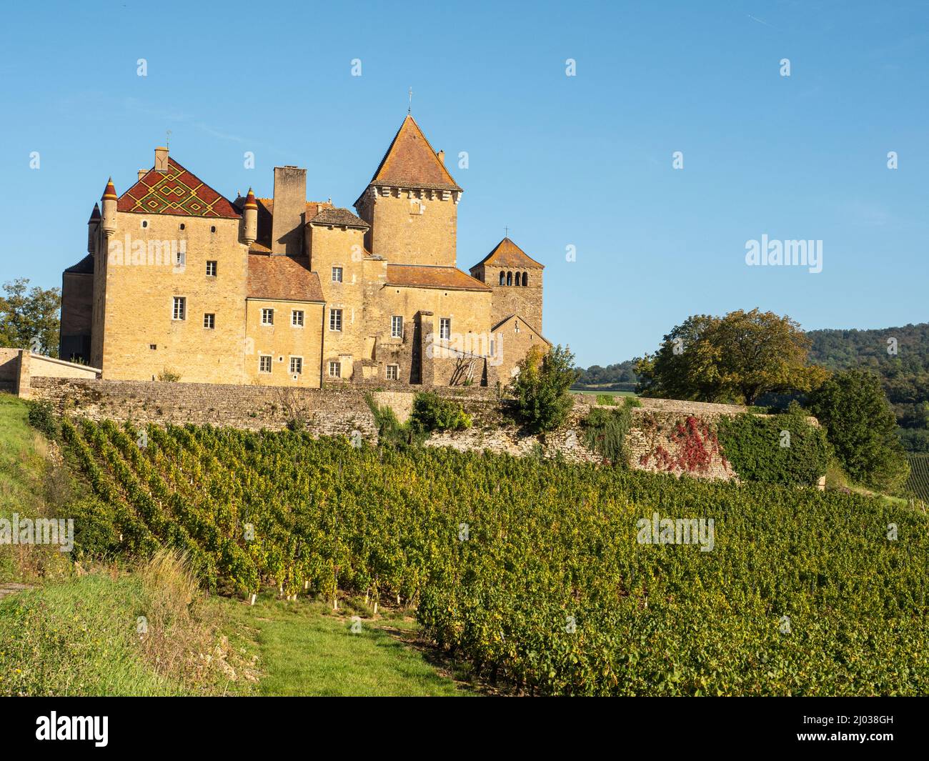 Il castello di Pierreclos e cantina vicino Macon, Saone-et-Loire, Borgogna, Francia, Europa Foto Stock