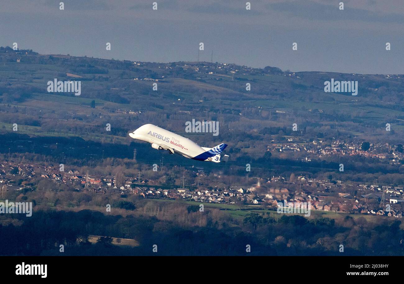 Airbus Beluga utilizzato per il trasporto di ali di aeromobili, decollo dal sito Airbus a Hawarden, Galles settentrionale, Regno Unito Foto Stock