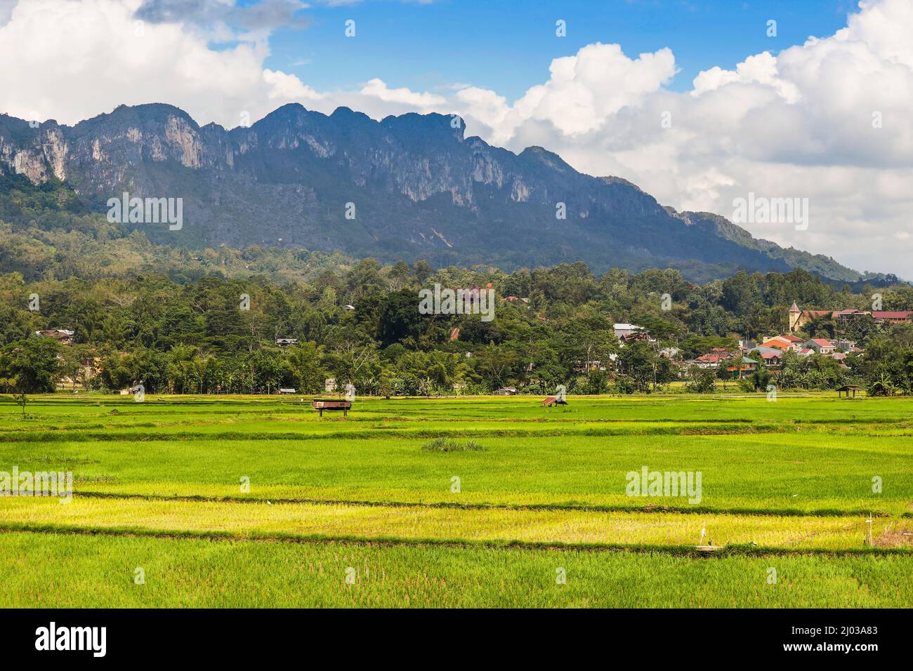 Cime calcaree tra cui 1231m Gunung Buntu Sarira e risaie nella valle del fiume Sadang, Sarira, Toraja, Sulawesi Sud, Indonesia Foto Stock