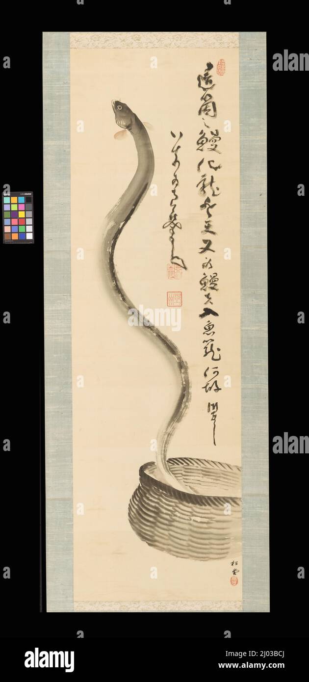 Eel emergente da un Creel. Nakahara Nantenbō (Giappone, 1839-1925). Circa 1923. Quadri; scorre. Rotolo sospeso; inchiostro su seta Foto Stock