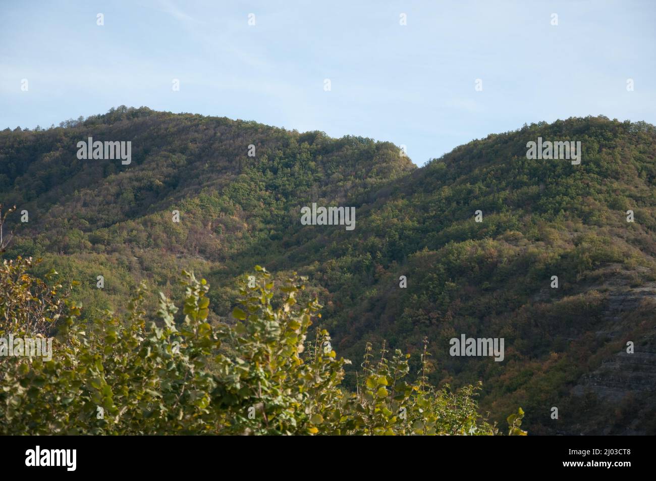 Vista sulle colline toscane da montagna, Provincia d'Arezzo, Toscana, Italia. Colline, alberi, valle, vegetazione; colori autunnali; autn Foto Stock