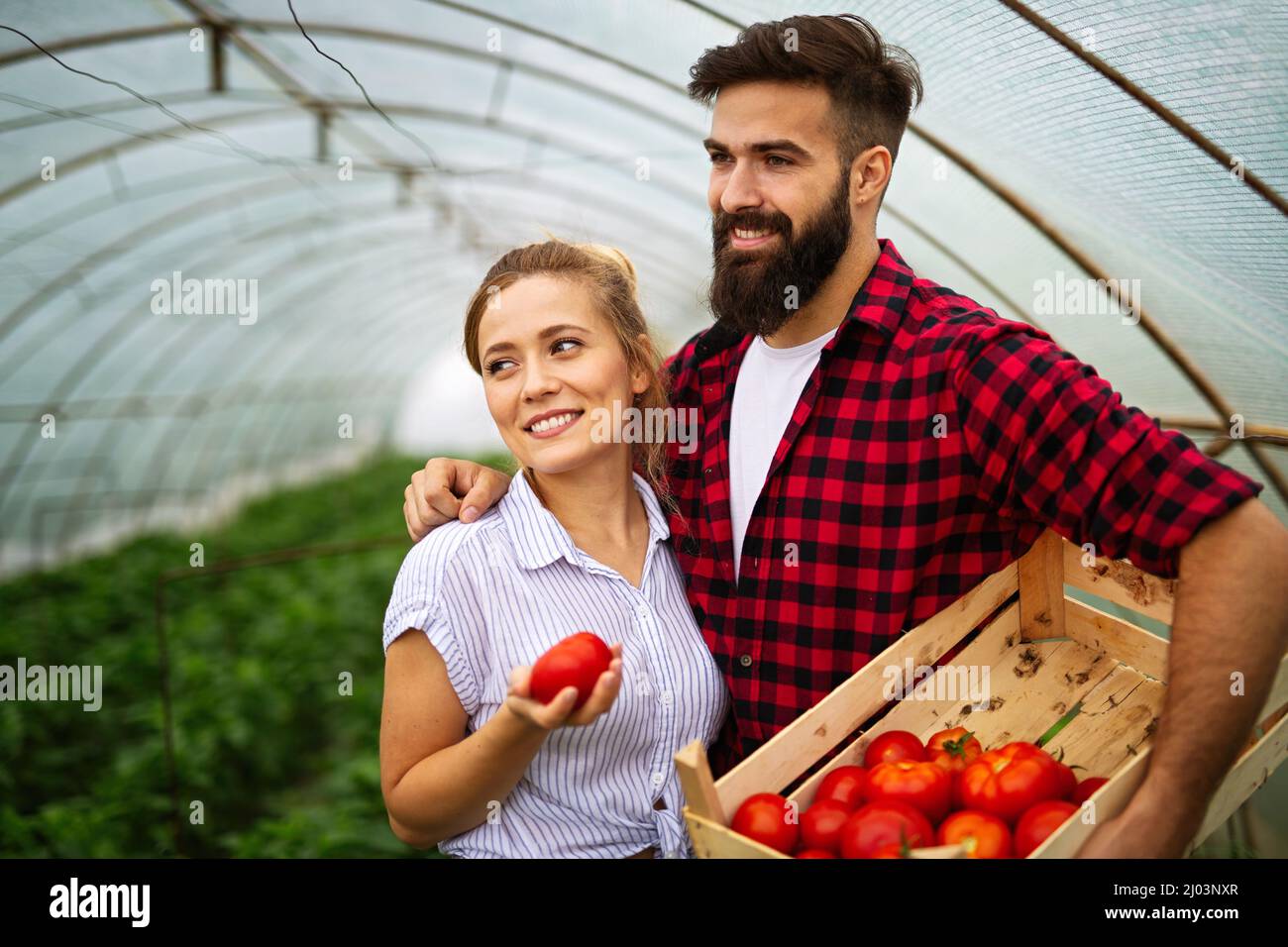 Il team amichevole raccoglie verdure fresche dal giardino serra sul tetto Foto Stock