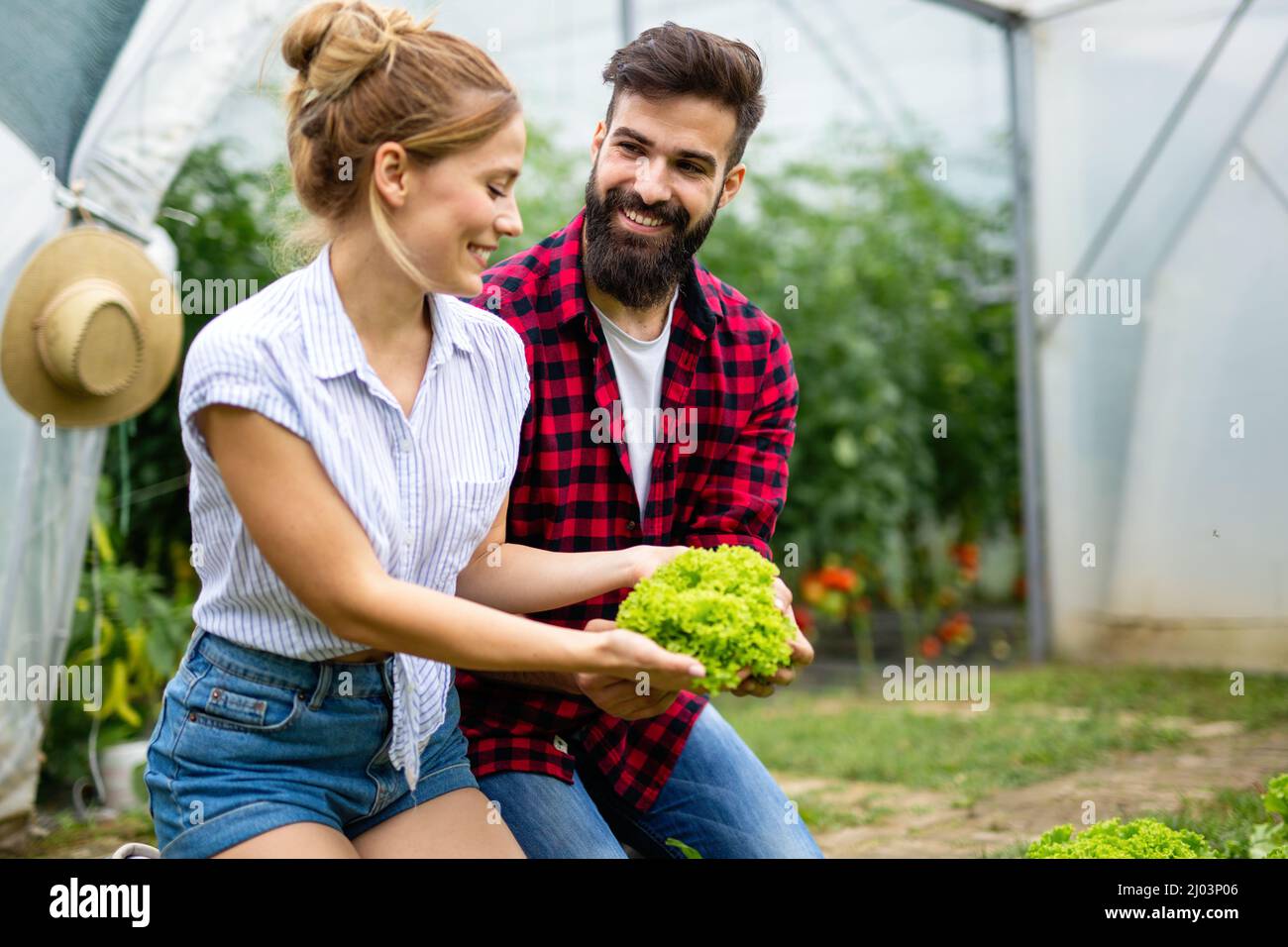 Felice giovane coppia che lavora in serra, coltivando cibo biologico. Persone bio alimentare concetto di salute Foto Stock