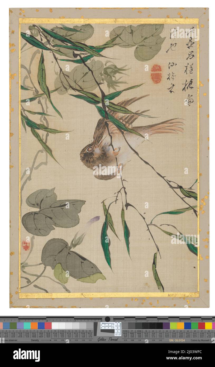 Foto di Fiori e Uccelli. Okamoto Shūki (Giappone, 1807-1862). Giappone, 19th secolo. Libri. Album a fisarmonica di 66 foglie; inchiostro e colore su seta Foto Stock