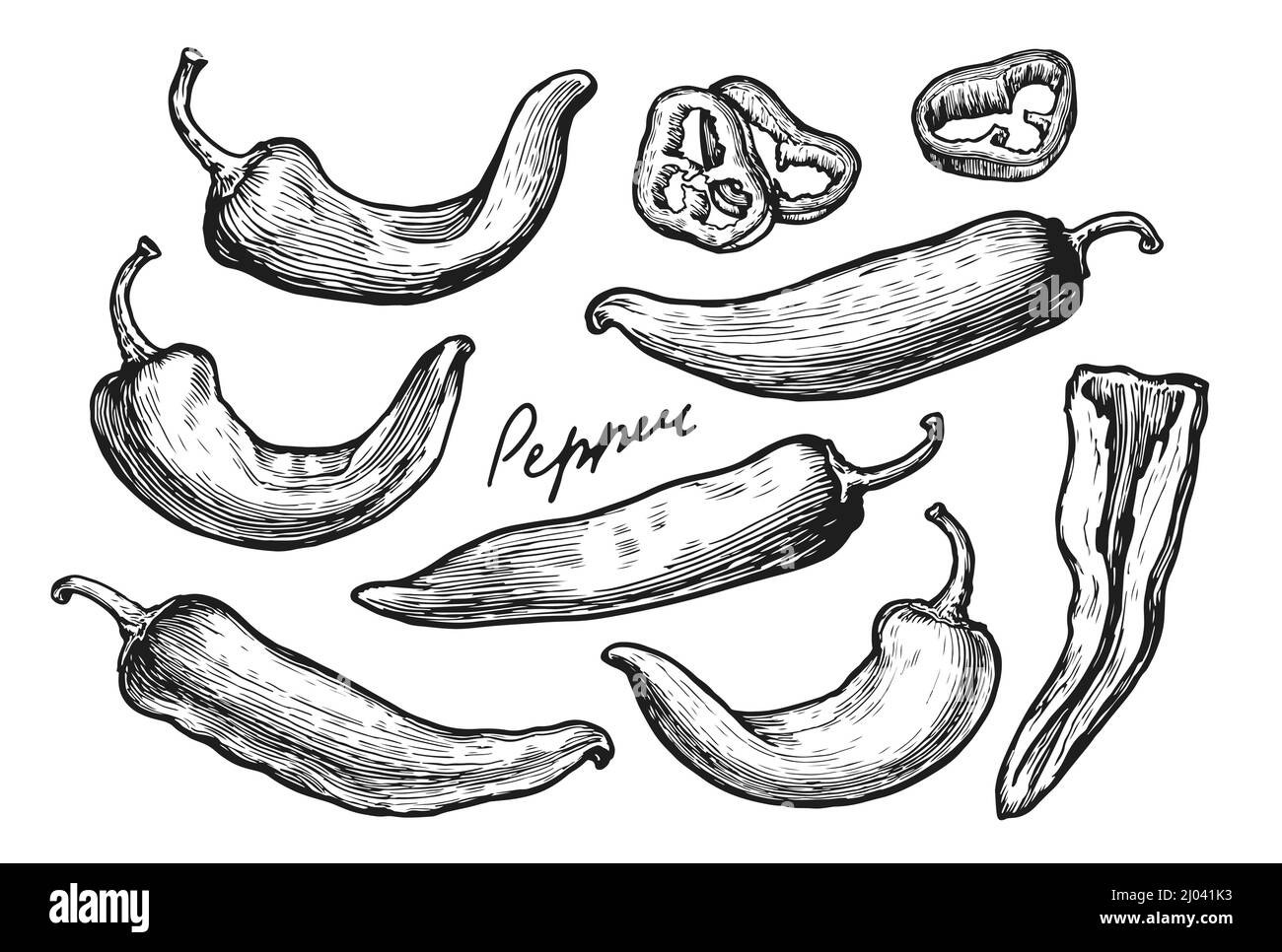 Set pepper sketch. Verdure di fattoria, ingredienti piccanti per cucinare Illustrazione Vettoriale