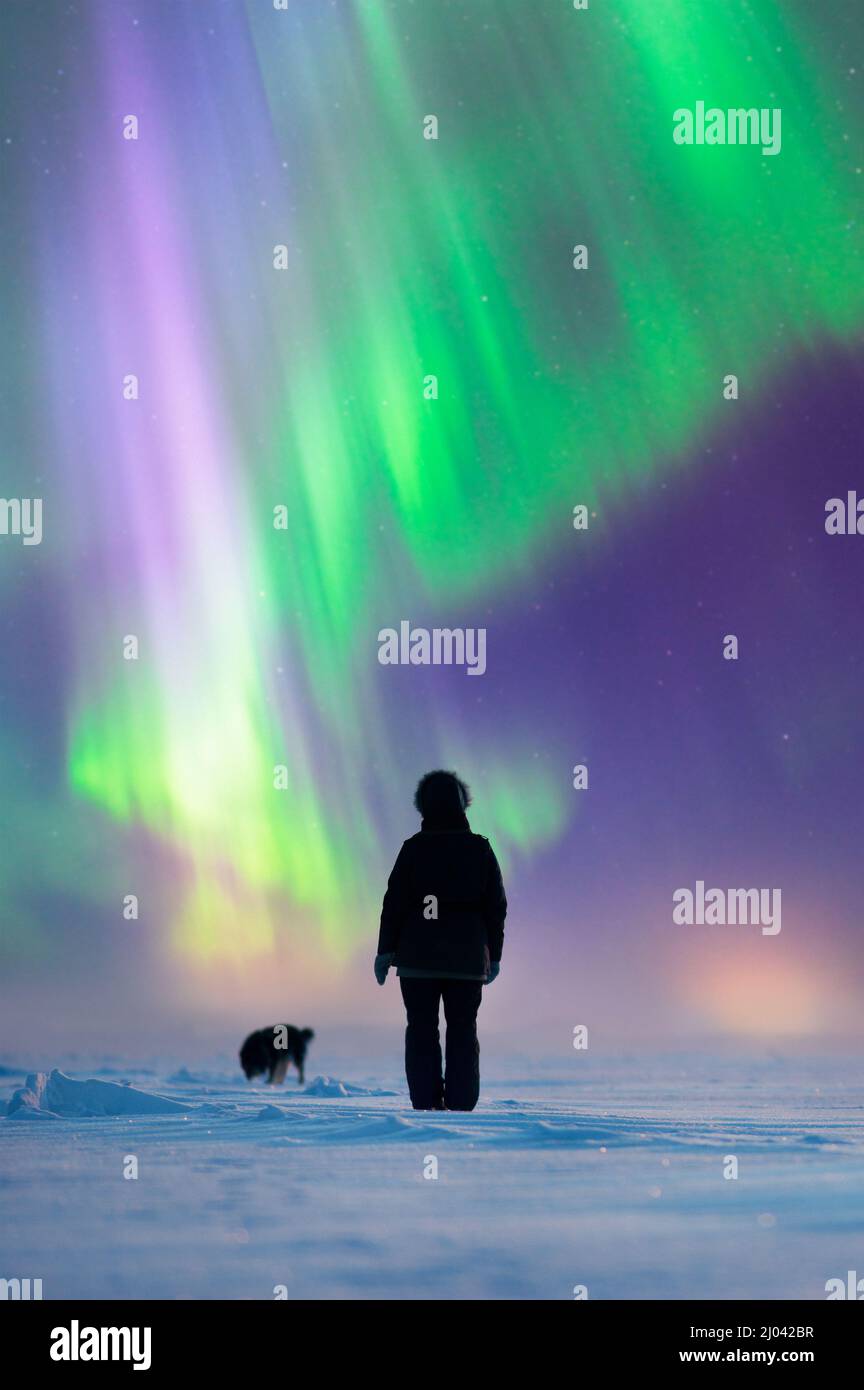 Donna con il suo cane in piedi sulla superficie ghiacciata del lago, ammirando aurora boreale su paesaggio artico invernale. Fuoco sulla donna. Foto Stock