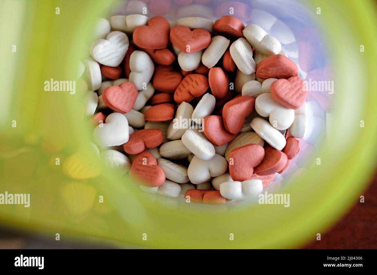 biscotti per cani a forma di cuore in contenitore di plastica Foto Stock