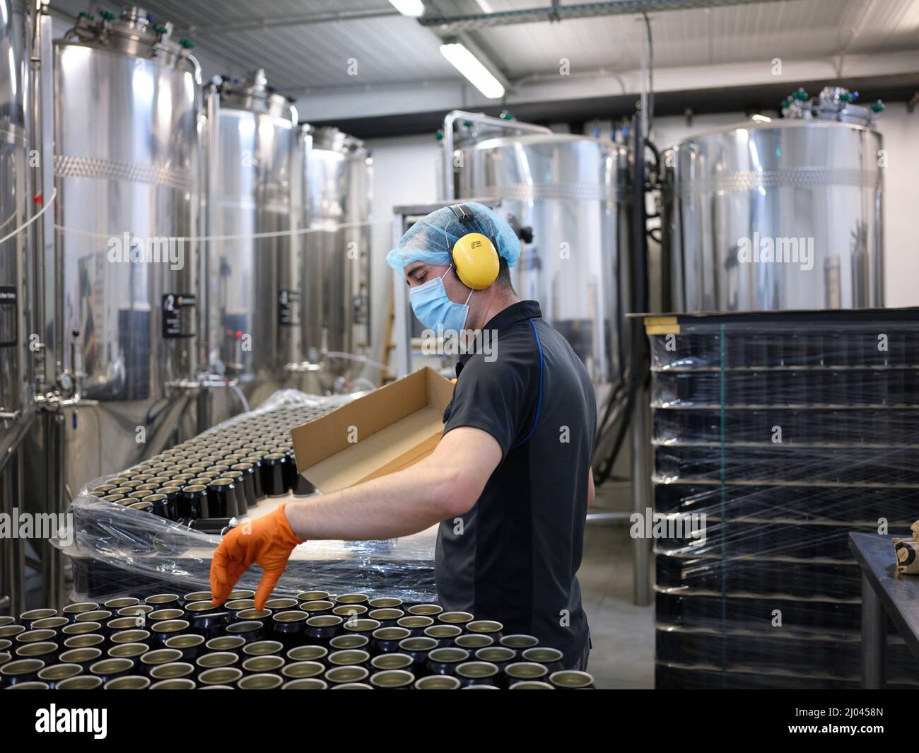 Lavoratore che raccoglie lattine da una linea di produzione artigianale di birra in un birrificio Foto Stock