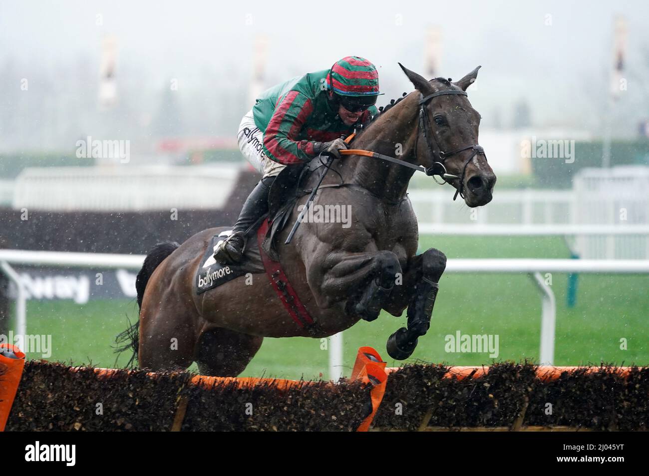 Hemlock guidato da Darragh o'Keeffe durante l'ostacolo di Ballymore Novices durante il giorno due del Festival di Cheltenham all'ippodromo di Cheltenham. Data foto: Mercoledì 16 marzo 2022. Foto Stock