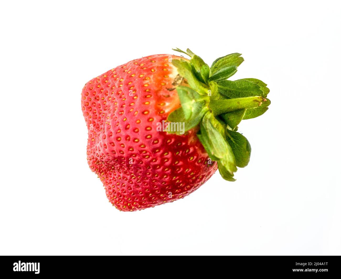 Macro ritratto di frutta/cibo di succulenta fragola rossa su sfondo semplice Foto Stock