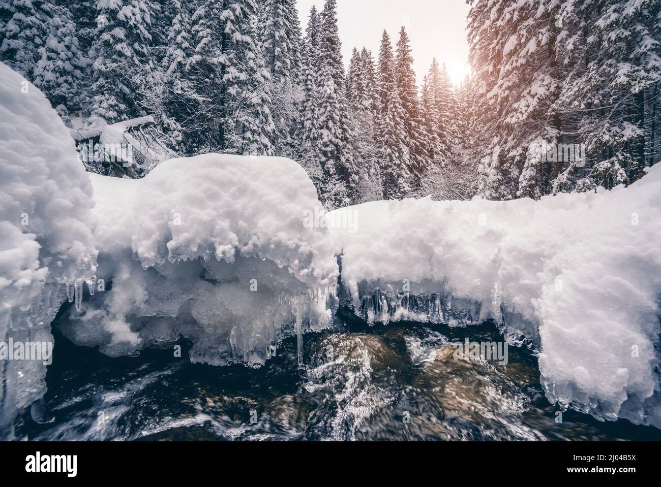 Miracolo fiume alla luce del sole al mattino. Scenografia suggestiva e pittoresca del vino. Luogo Carpathian, Ucraina, Europa. Mondo di bellezza. Toner Instagram Foto Stock