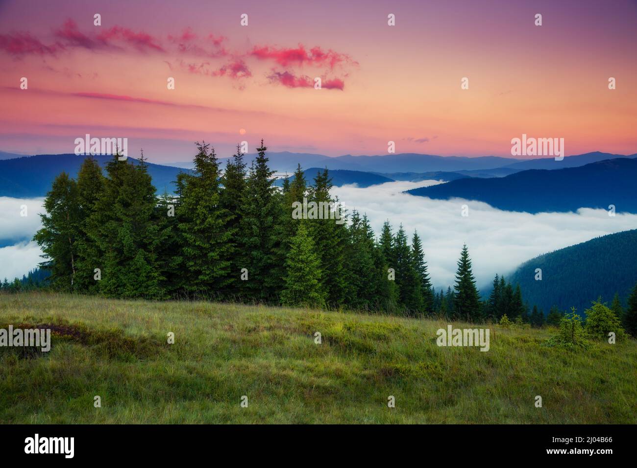 Fantastiche montagne appannate che si illuminano dalla luce del sole. Scena mattutina suggestiva e pittoresca. Luogo Carpathian, Ucraina, Europa. Mondo di bellezza. Installazione Foto Stock