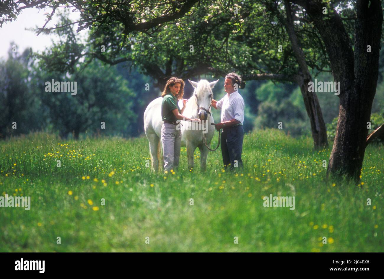 Gruppo Capitano Peter Townsend a casa in Francia 1981 Foto Stock