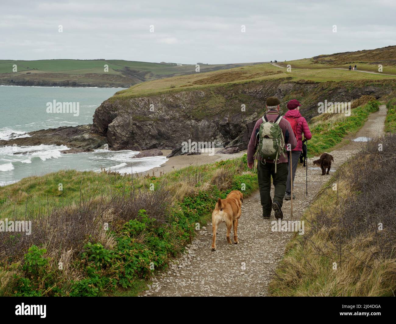 Coppia matura che cammina lungo il sentiero della costa sud-occidentale da Daymer Bay a Polzeath, Cornovaglia, Regno Unito Foto Stock