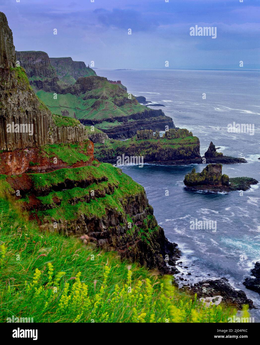 Le scogliere di Causeway a Hamiltons Seat, County Antrim, Irlanda del Nord Foto Stock