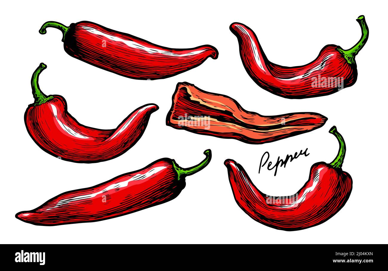 Peperoni rossi con steli verdi. Spezie alimentari, verdure illustrazione vettoriale Illustrazione Vettoriale