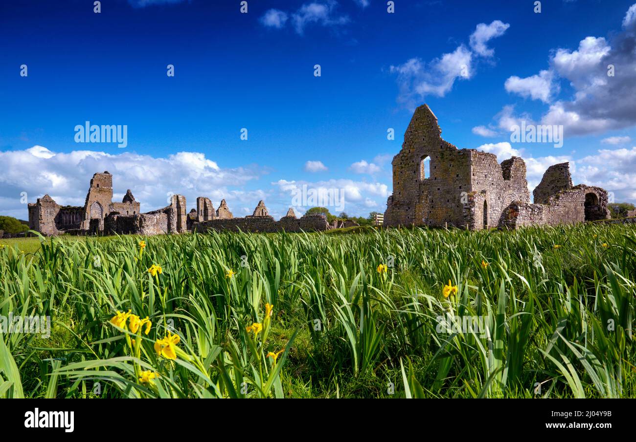 Athassel Abbey Golden; Co.Tipperary, Irlanda Foto Stock