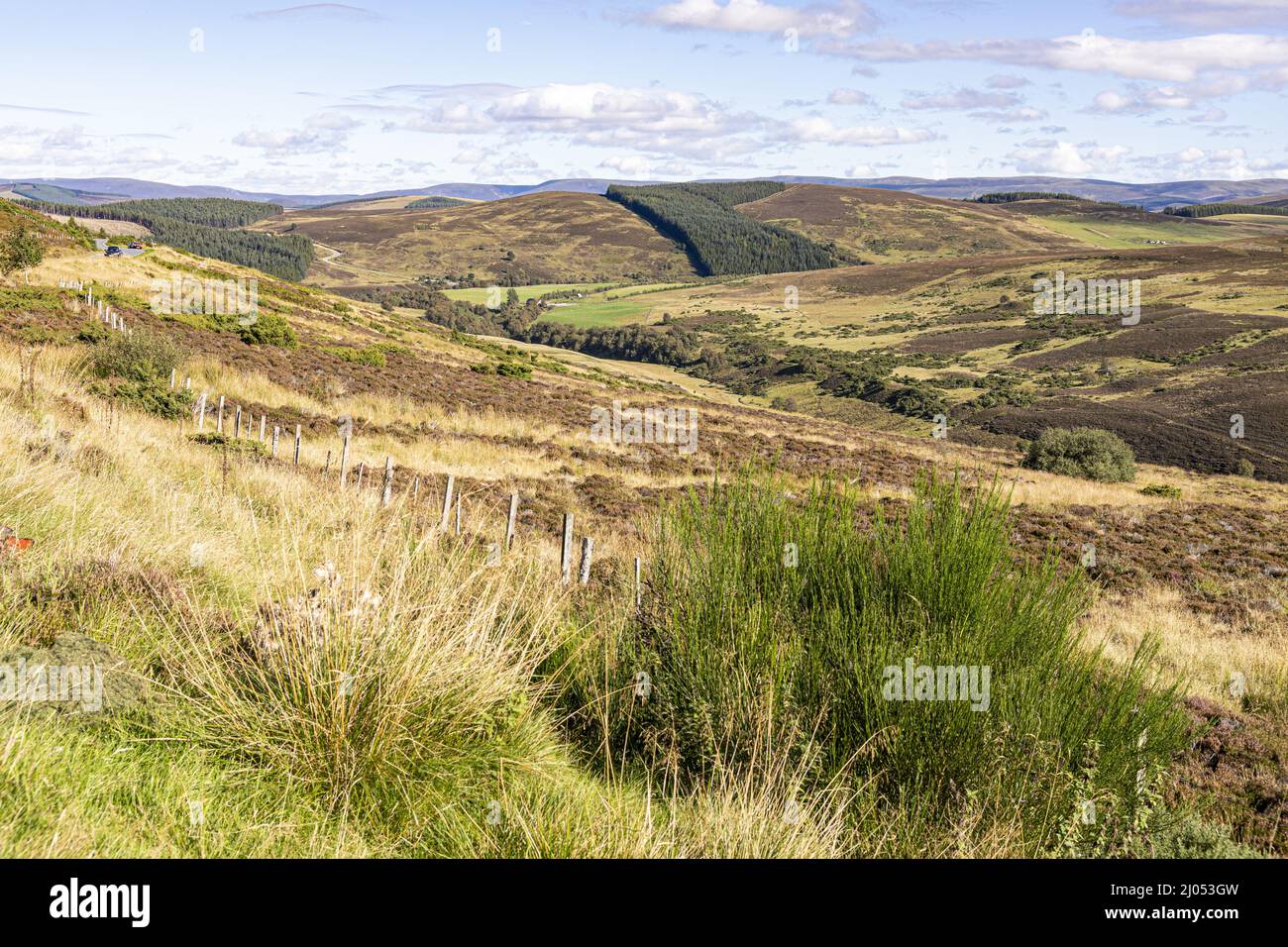 Una vista sulla valle vicino a Bridge of Brown, Highland, Scozia Regno Unito. Foto Stock