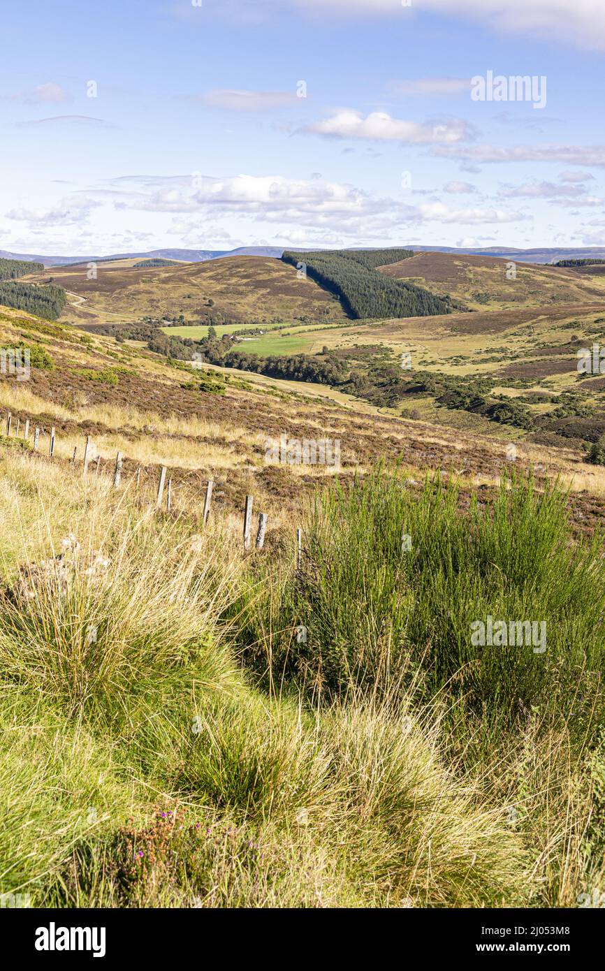Una vista sulla valle vicino a Bridge of Brown, Highland, Scozia Regno Unito. Foto Stock