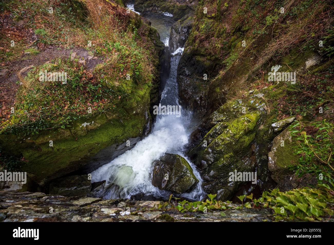 Guardando verso il basso dal ponte superiore di Packhorse sopra le acque di tuoning della forza di Aira in inverno, Lake District, Inghilterra Foto Stock