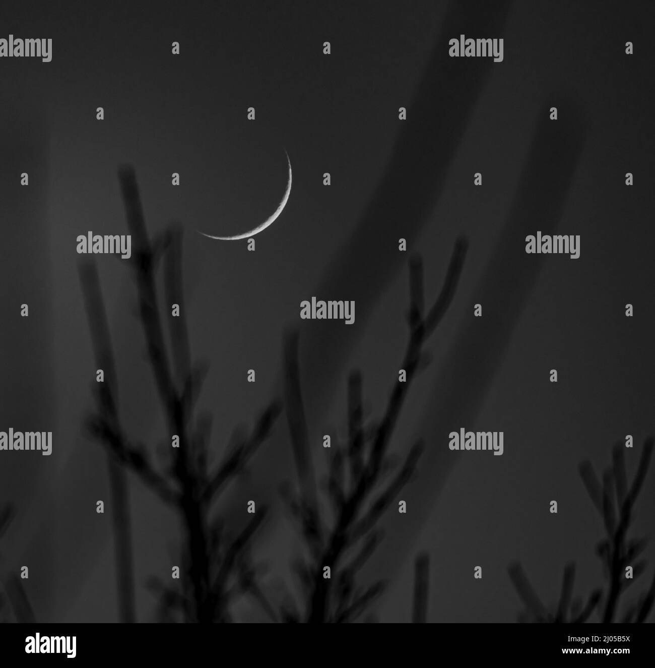 La luna che si deprime la mattina presto Foto Stock