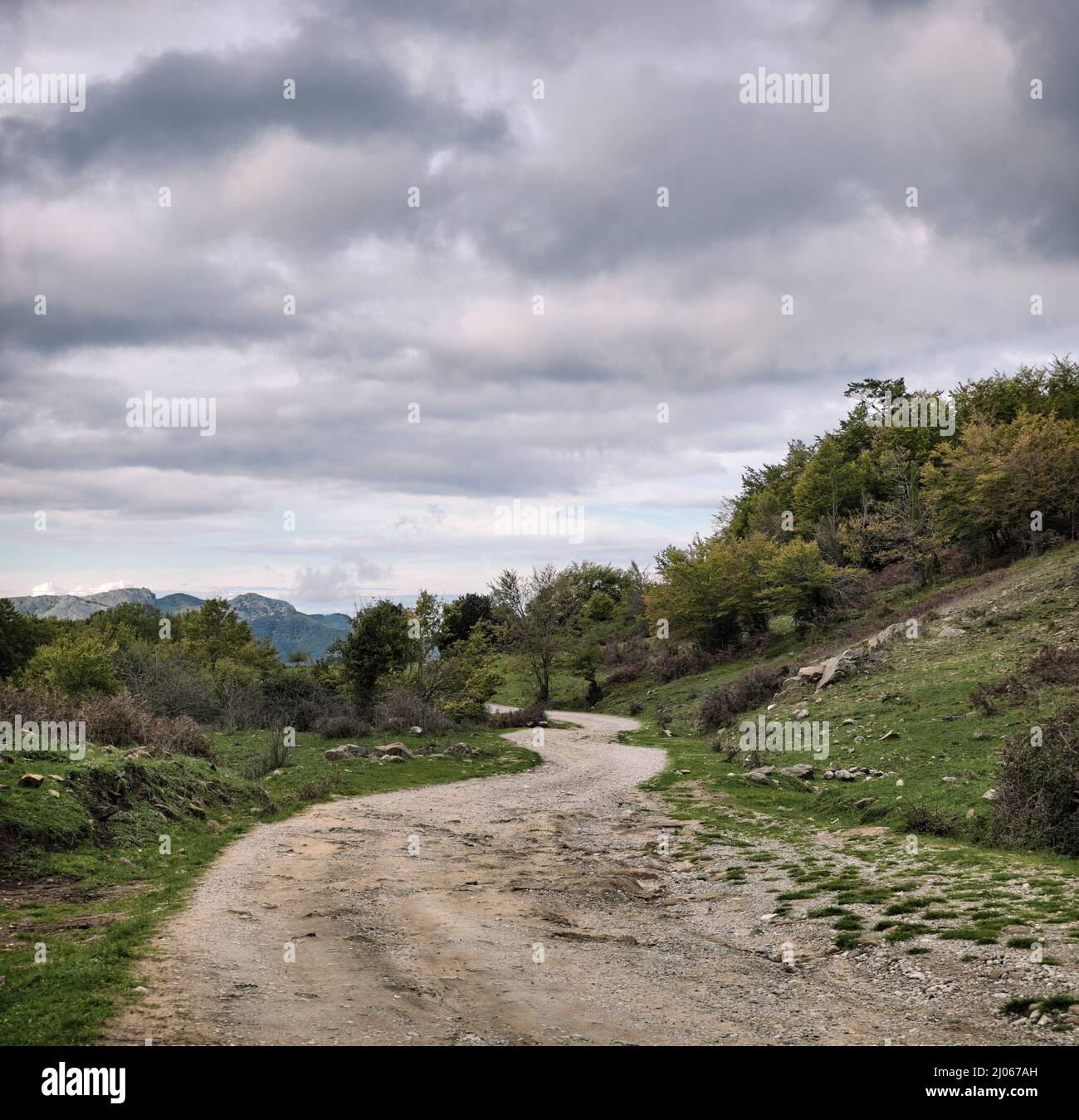 Tortuosi paesaggi di strade rurali in Sicilia sotto il cielo sovrastato Foto Stock