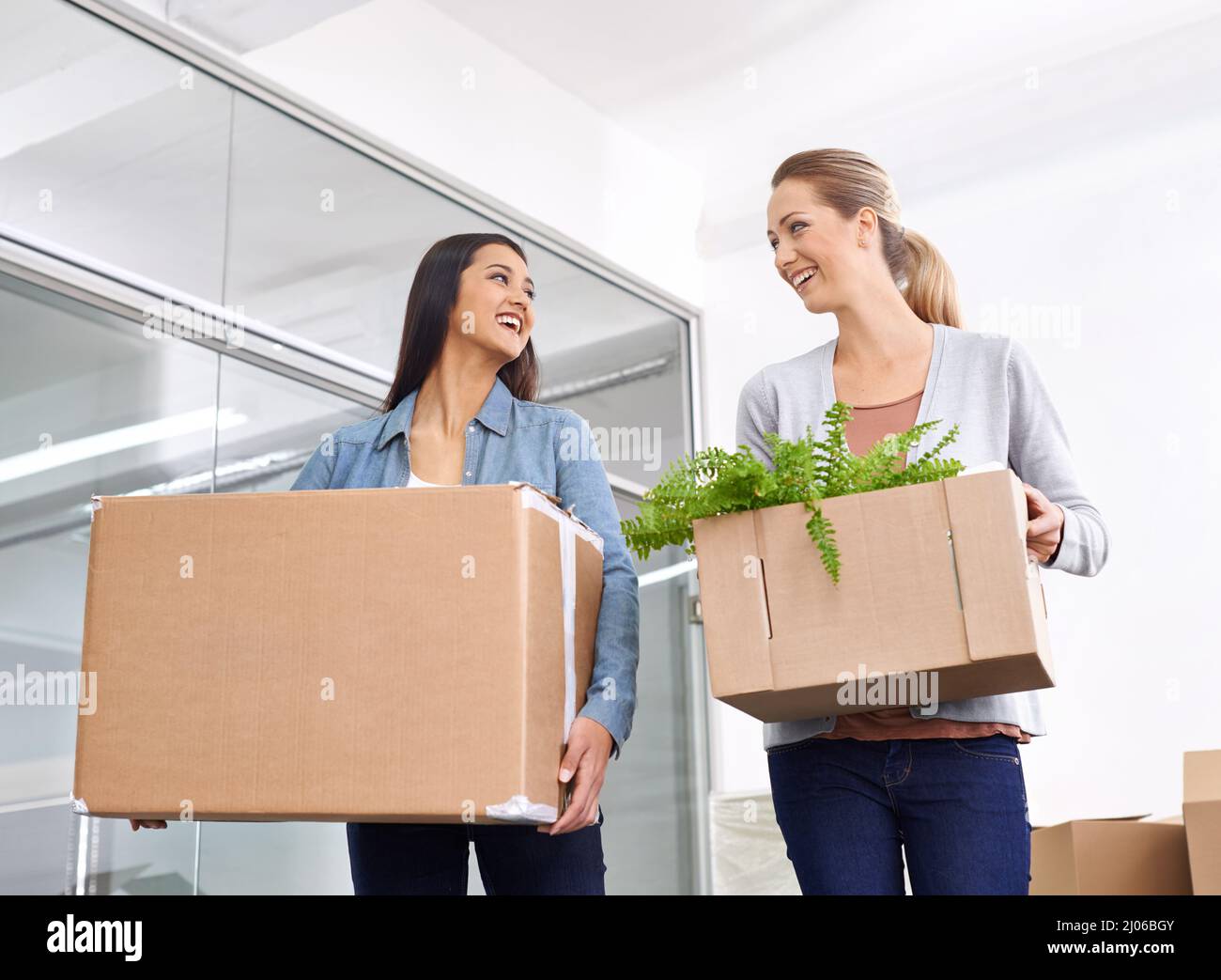 Credo che avere impianti in ufficio sia stata una grande idea. Due imprenditrici che si trasferiscono in un nuovo ufficio. Foto Stock