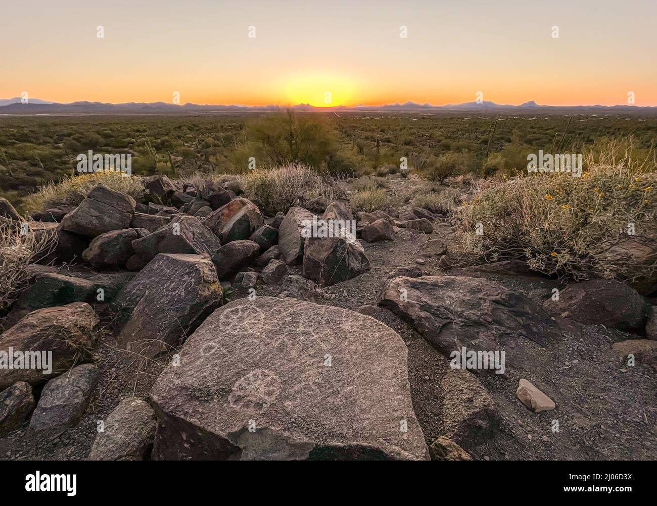 Antichi petroglifi su Signal Hill a Tucson Foto Stock
