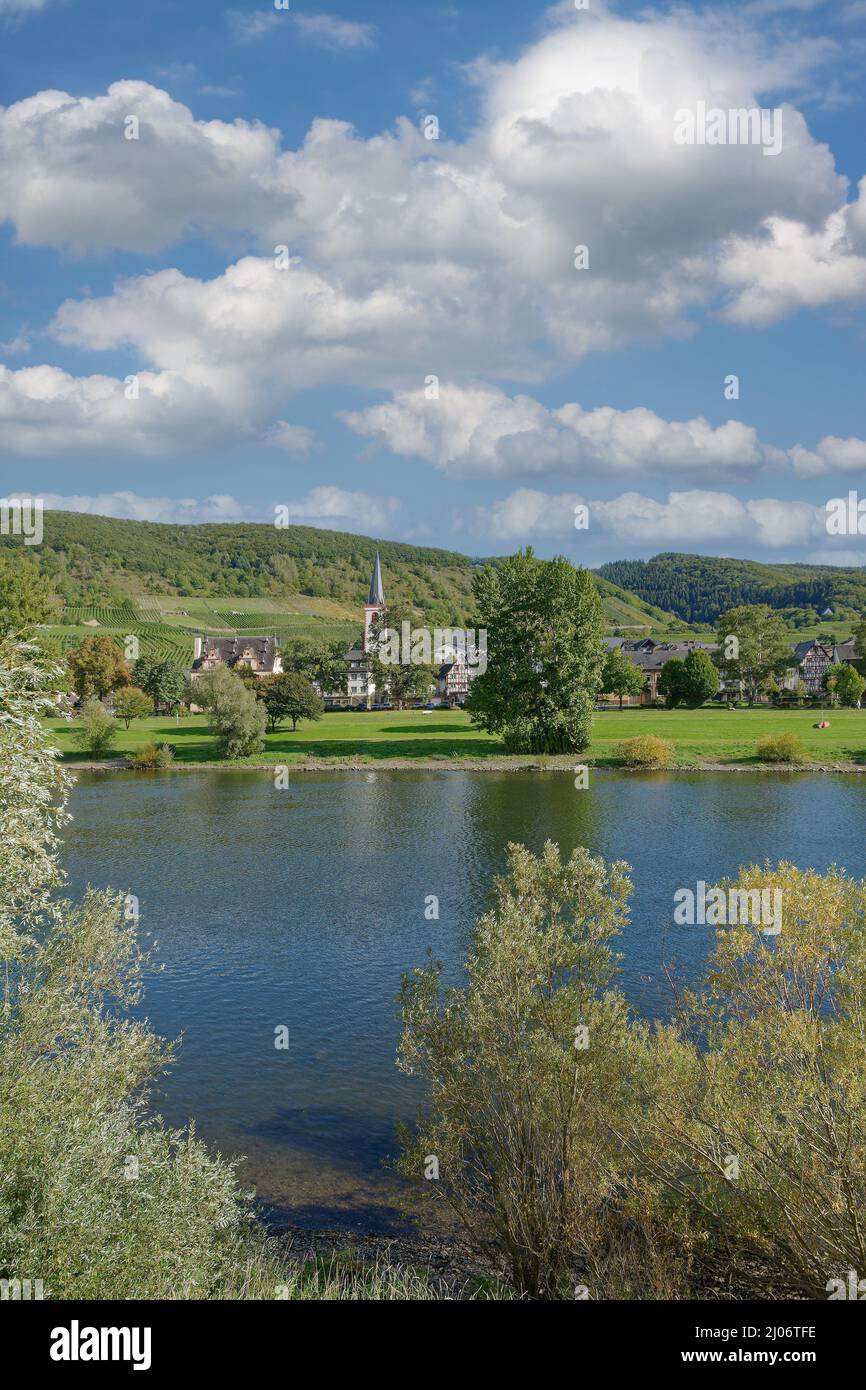 Villaggio del vino di Bruttig-Fankel, Mosel River, Mosel Valley, Germania Foto Stock