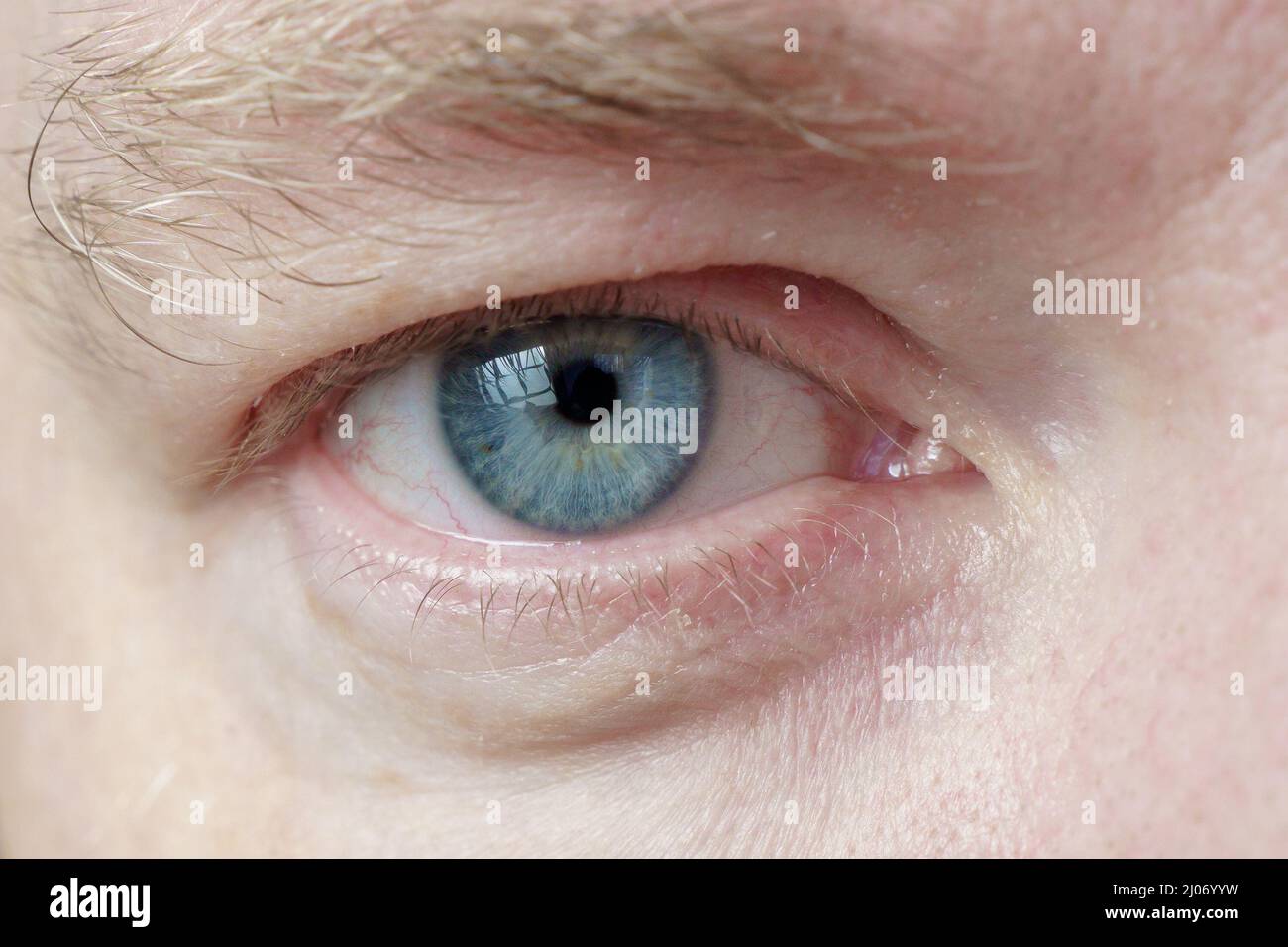 Occhio destro di un primo piano maschile bianco, messa a fuoco morbida. L'occhio umano con una pupilla blu Foto Stock