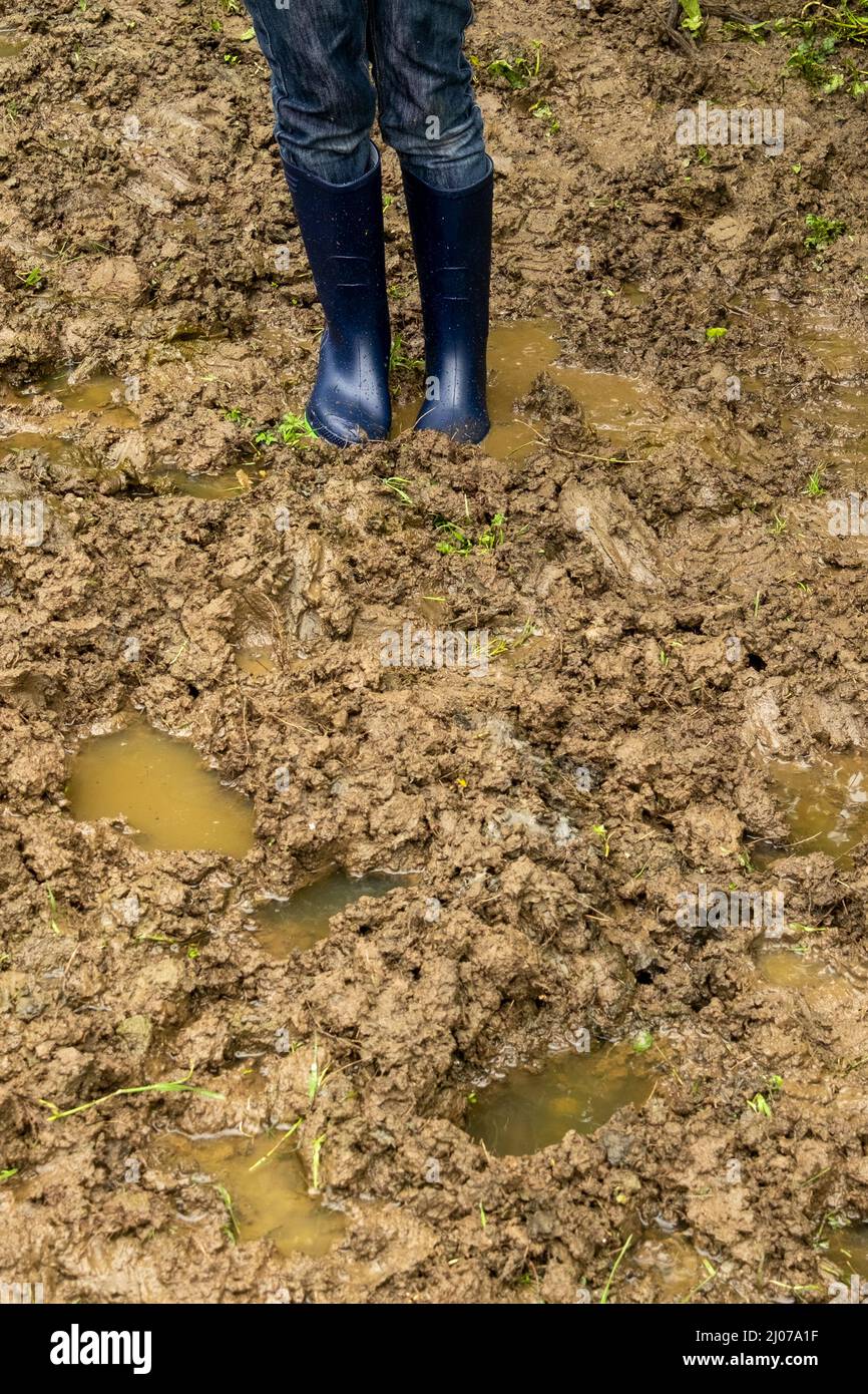 Primo piano del bambino in campo fangoso indossando stivali Foto Stock