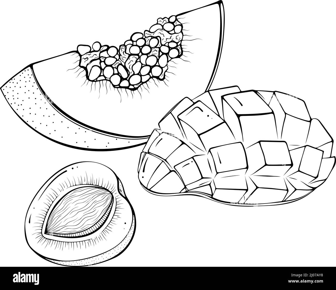 Frutta a fette papaya, albicocca, mango Illustrazione Vettoriale