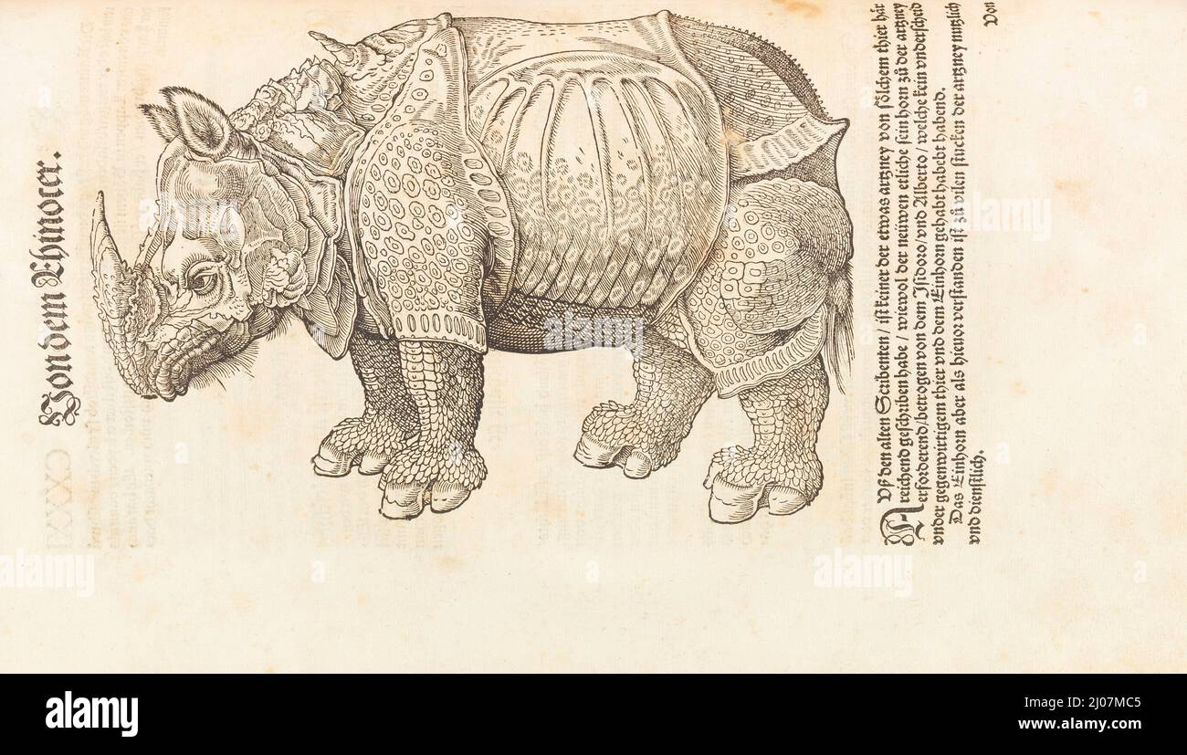 Rinoceronte. Da Historia animalium. Museo: COLLEZIONE PRIVATA. Autore: Conrad Gesner (Gessner) (Konrad). Foto Stock