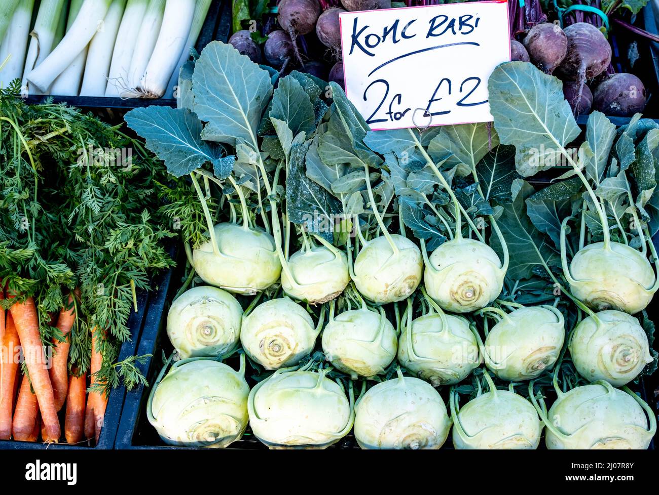 Epsom Surrey London UK, marzo 17 2022, Kohlrabi o German Turnip Vegetable Foto Stock