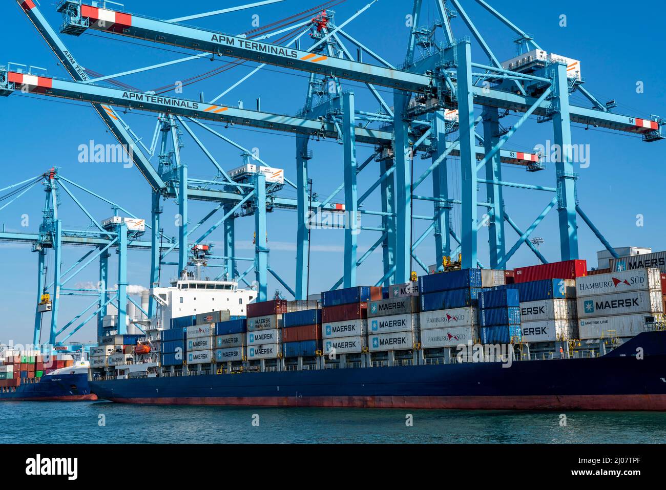 Porto marittimo di Rotterdam, Paesi Bassi, Maasvlakte 2 porto di mare profondo, su una zona di terra artificiale al largo della costa originale, APM Container Terminal, Container sh Foto Stock