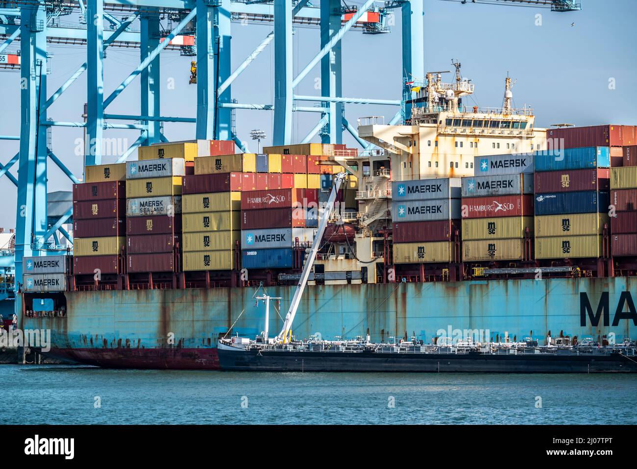 Porto marittimo di Rotterdam, Paesi Bassi, porto di mare profondo Maasvlakte 2, su una zona di terra artificiale al largo della costa originale, APM Container Terminal, containe Foto Stock