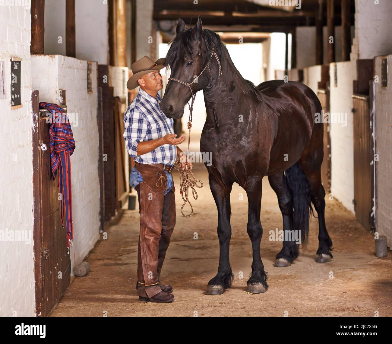 È una vita cowboy. Shot di un cowboy in una fattoria. Foto Stock