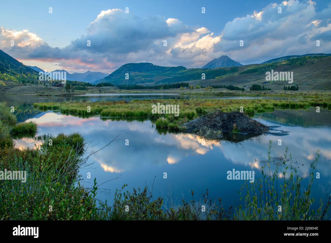 USA, Montagne Rocciose, Colorado, Crested Butte, Beaver Lodge e stagno, Foto Stock