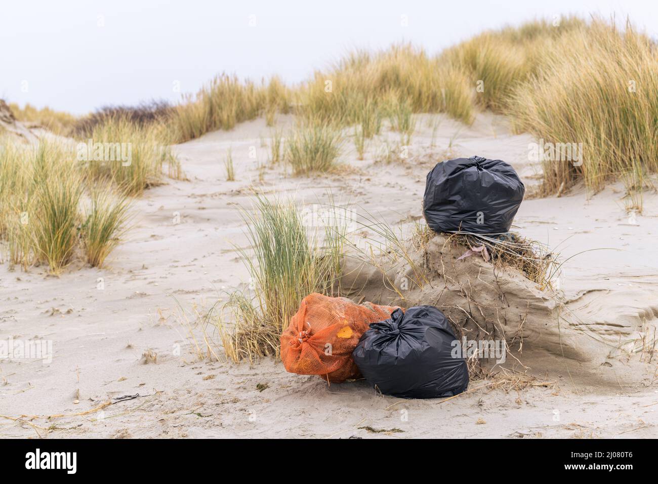 Sacchetti di plastica neri e arancioni pieni di rifiuti raccolti durante una pulizia presso la spiaggia nei Paesi Bassi. Foto Stock