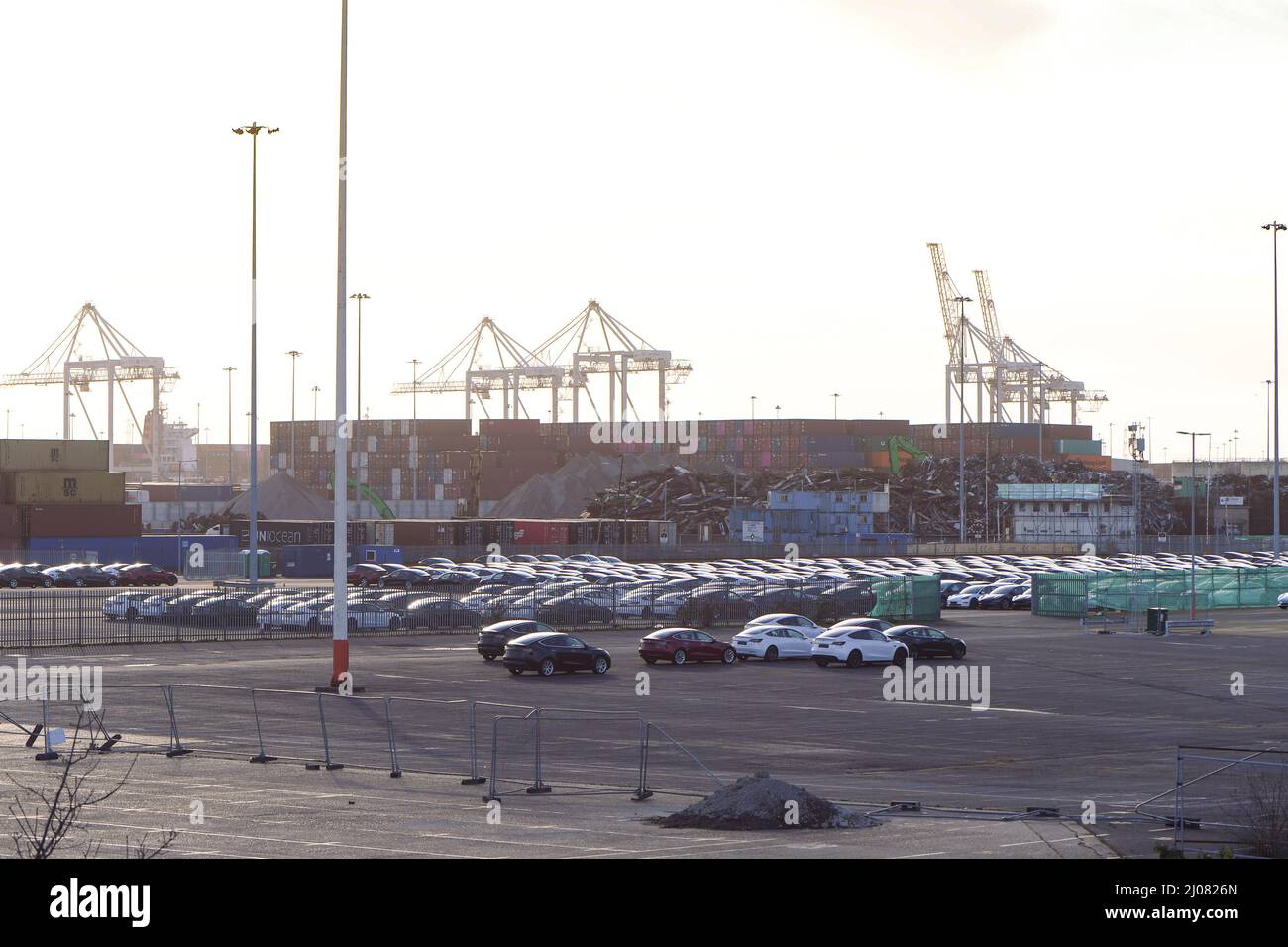 Le auto Tesla EV parcheggiate a Southampton ormeggia nell'Hampshire UK in attesa di essere processate fino alla fase successiva della consegna. Foto Stock