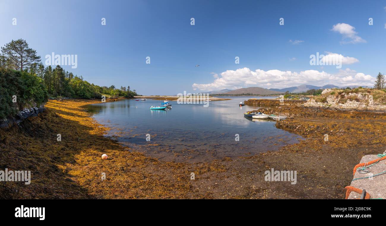 Isola di Rossdohan sulla costa atlantica della contea di Kerry, Irlanda Foto Stock