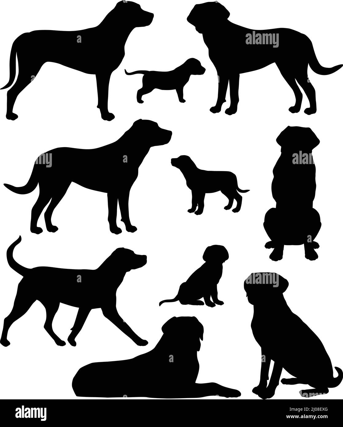 Collezione di silhouette della razza canina di montagna svizzera più grande Illustrazione Vettoriale