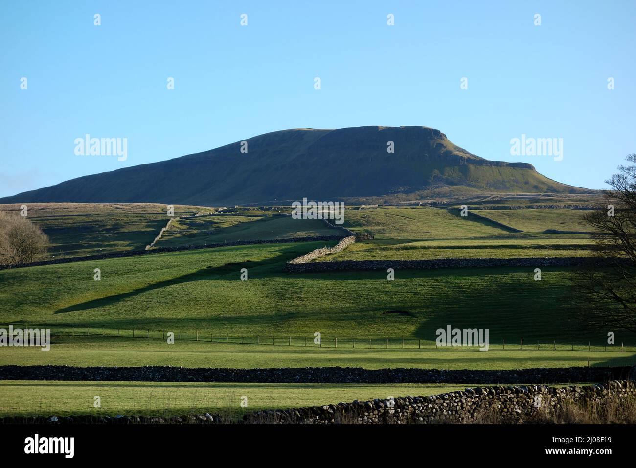 Pen-y-ghent (una delle vette dello Yorkshire 3) da Horton a Ribblesdale, Yorkshire Dales National Park, Inghilterra, Regno Unito. Foto Stock