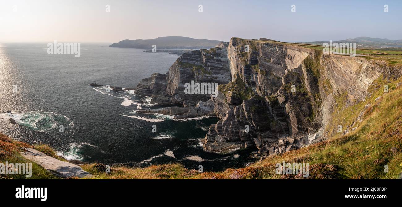 Le scogliere di Kerry sulla costa atlantica della contea di Kerry, Irlanda Foto Stock