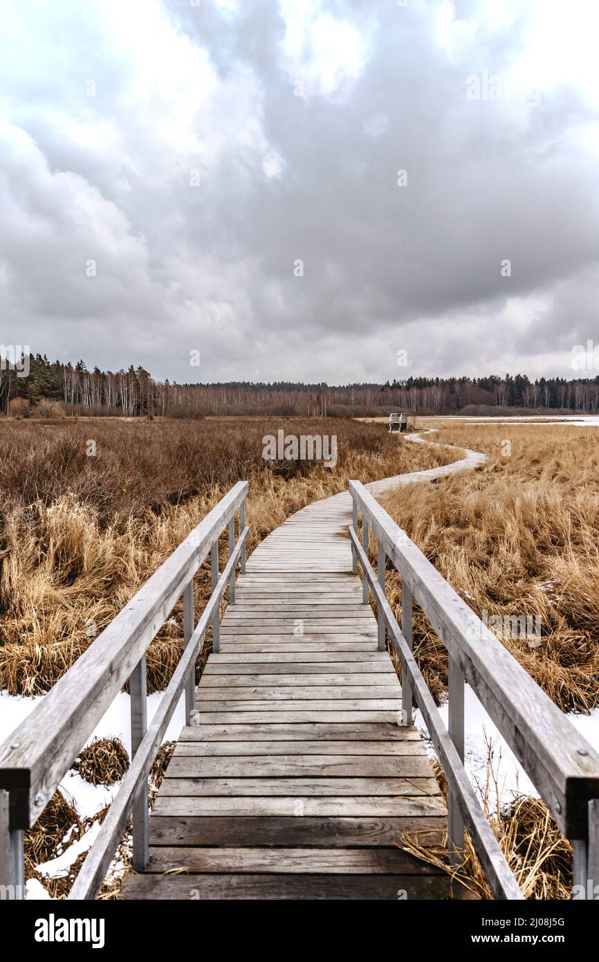 Percorso educativo Olsina non lontano da Cesky Krumlov e serbatoio d'acqua Lipno, Repubblica Ceca.Wetland, paludi, paludi e foreste di pianura alluvionale attraversati Foto Stock