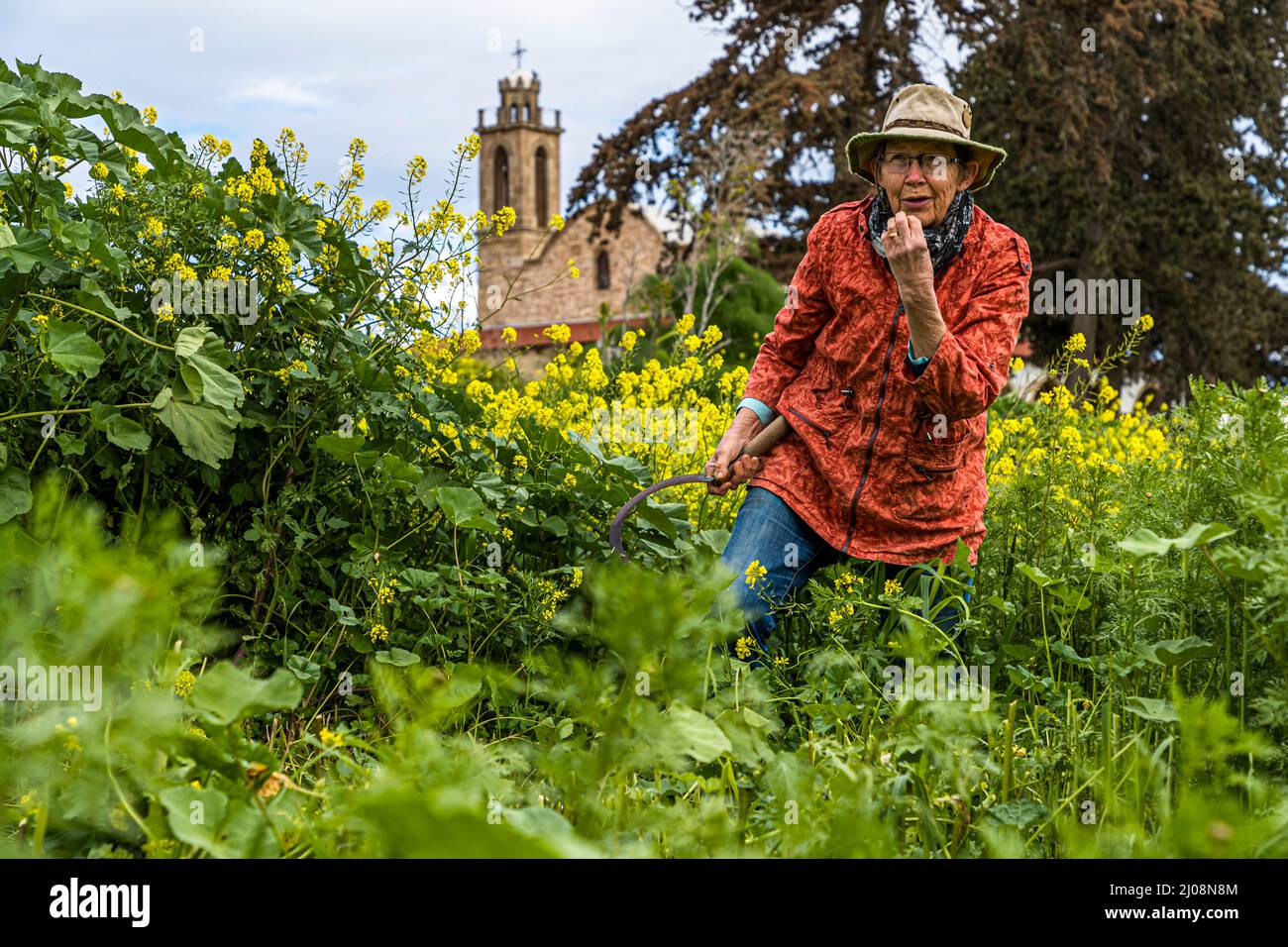 Büyükkonuk Foto Stock
