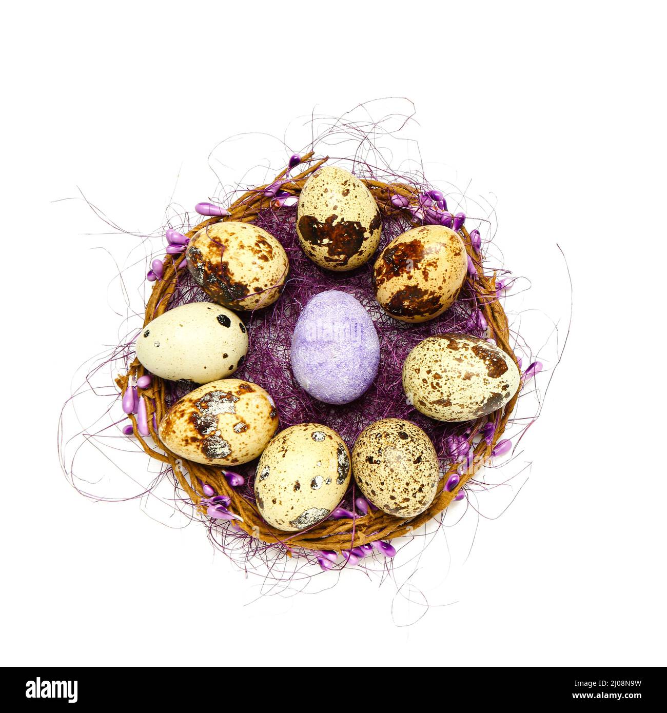 Nidificare con uova di Pasqua quaglia su sfondo bianco Foto Stock
